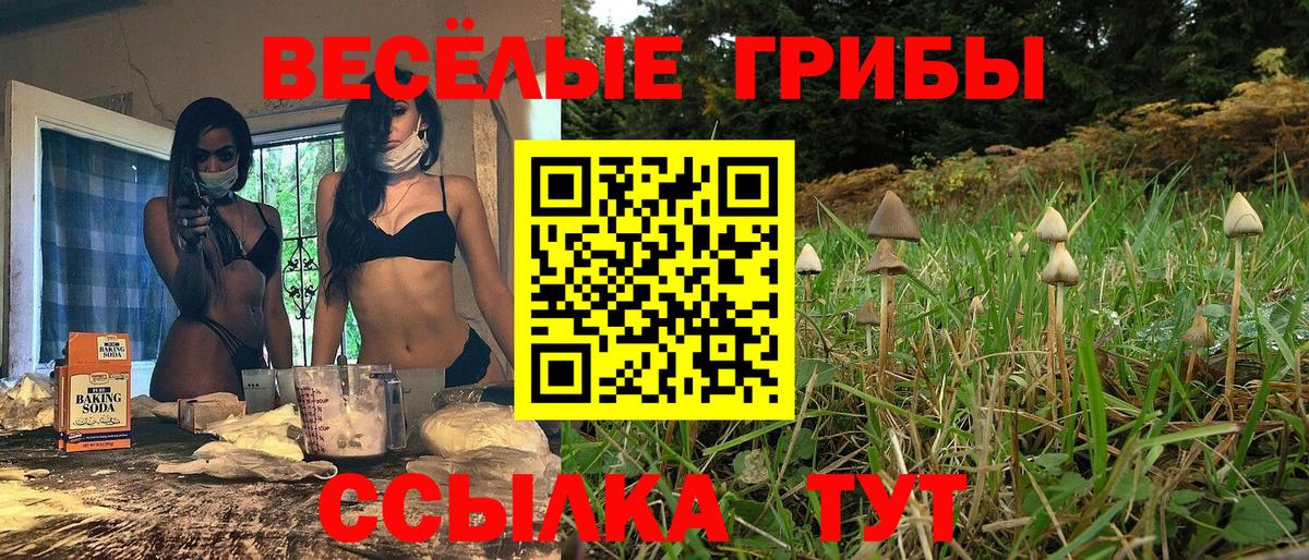 Псилоцибиновые грибы Magic Shrooms  Вход с VPN  Ярцево 
