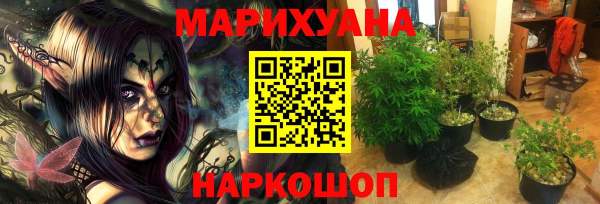 Марихуана OG Kush Ярцево